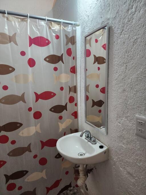 Small Studio Apt 5Min To Dt! زيهواتانيجو المظهر الخارجي الصورة