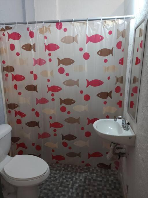 Small Studio Apt 5Min To Dt! زيهواتانيجو المظهر الخارجي الصورة